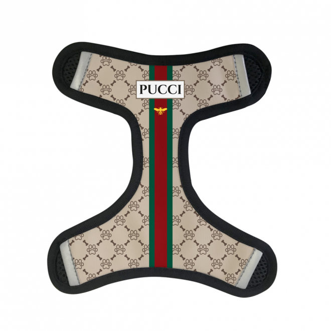 Harness Front - Pucci