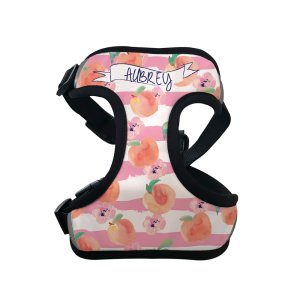 Personalised Cat Harness - Just Peachy