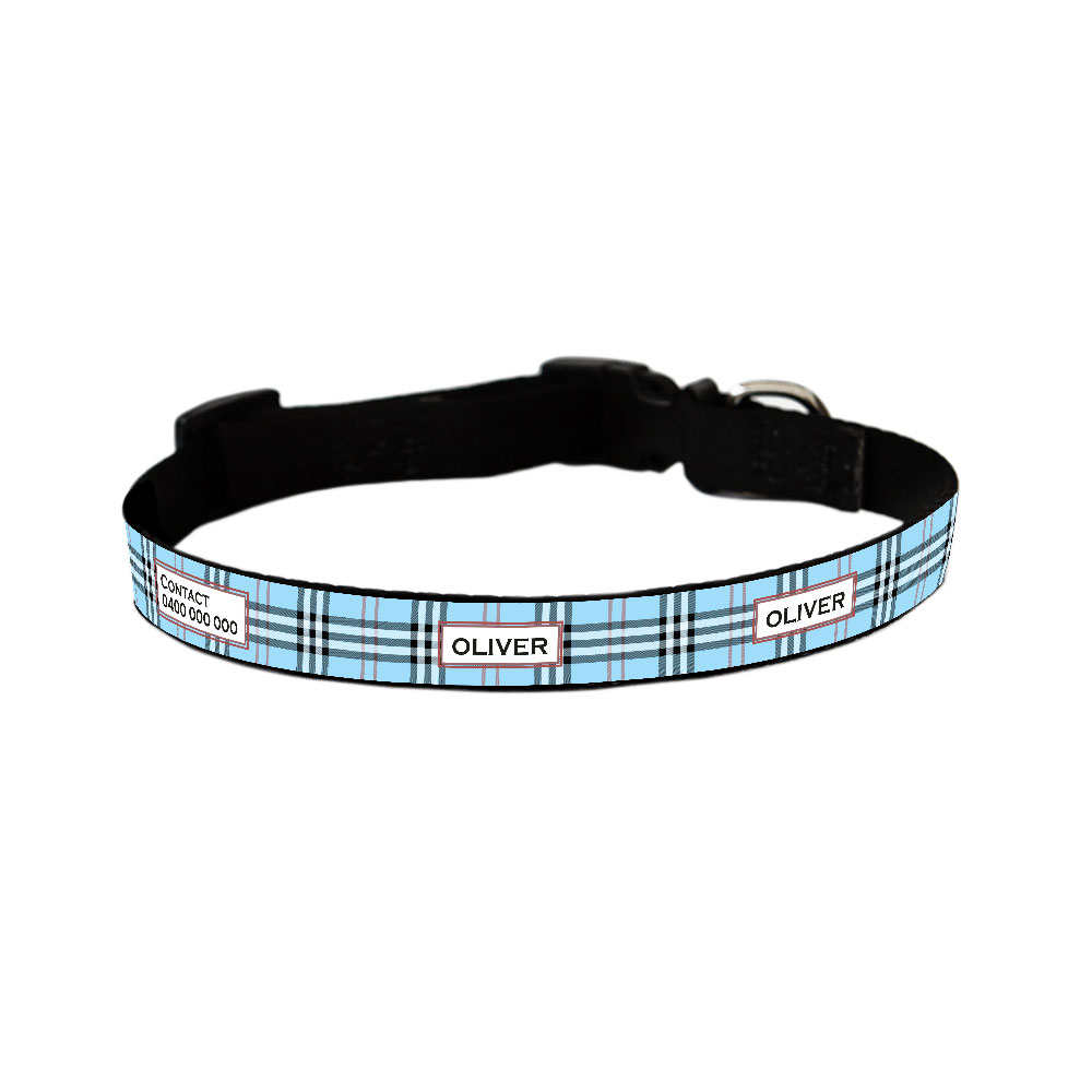 Personalised Dog Collar - Very Furberry in Blue