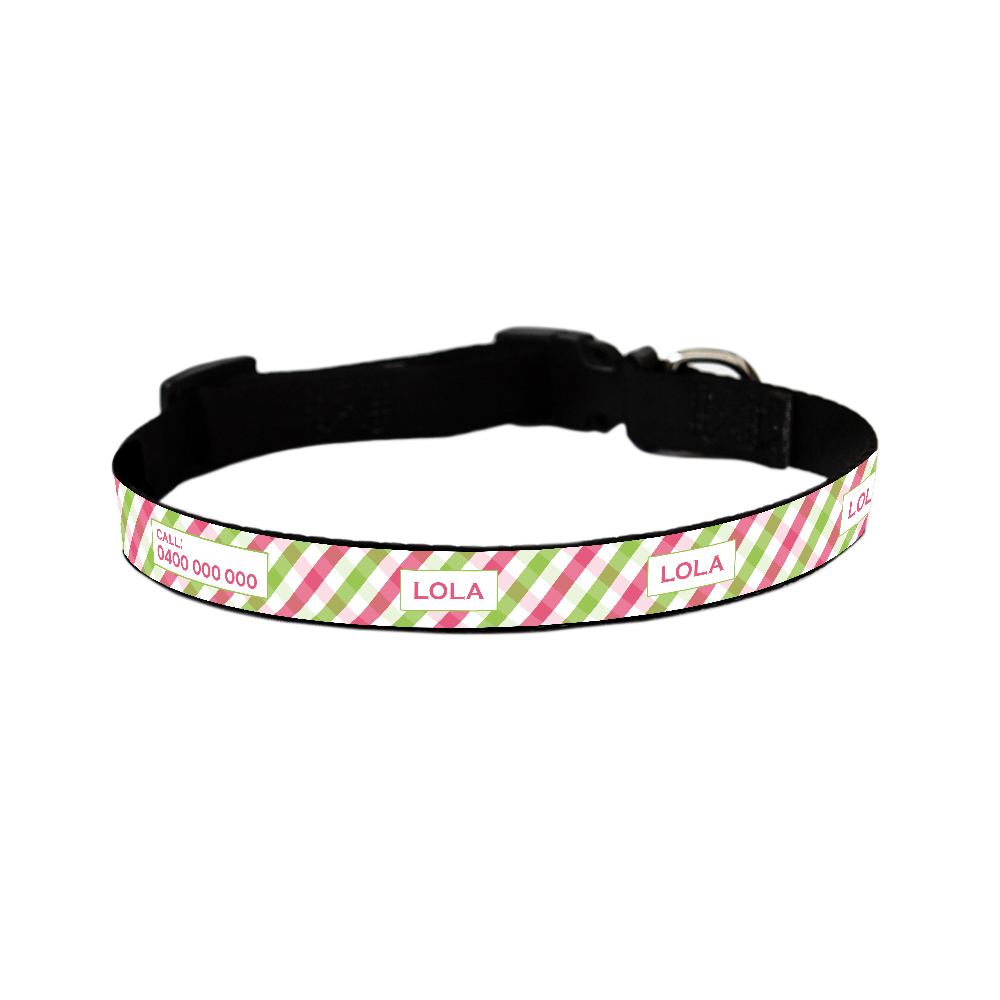 Dog Collar - Picnic Time - Pink & Lime